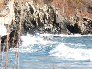 York Waves